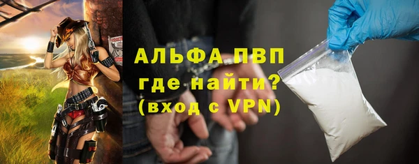 стаф Аркадак