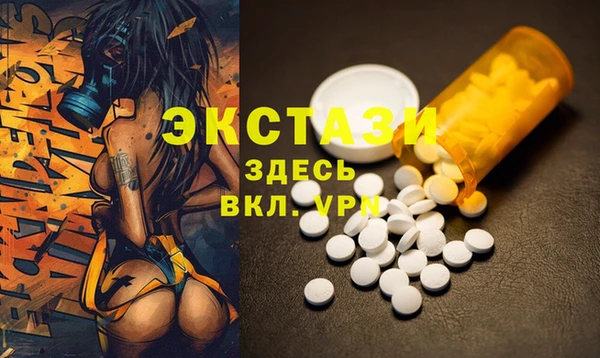 стаф Аркадак
