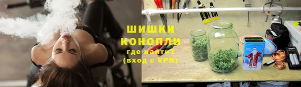 стаф Аркадак