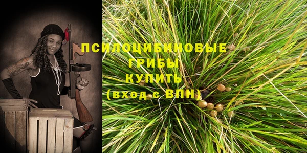 стаф Аркадак