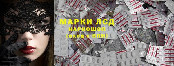 стаф Аркадак
