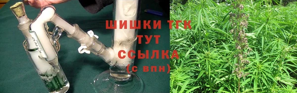 стаф Аркадак